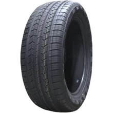 255/50R19 103V DS01 SUV DOUBLESTAR